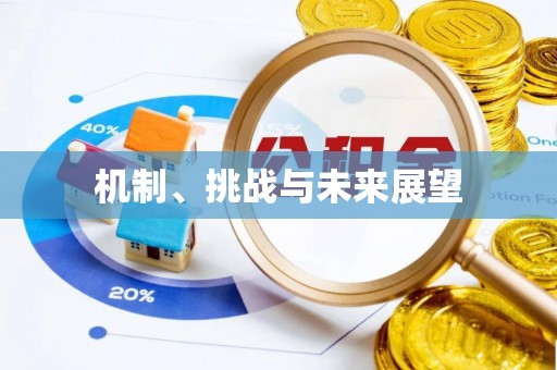 内江机制、挑战与未来展望